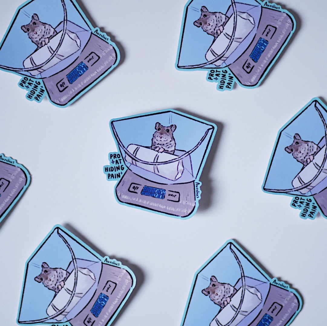 Pro At Hiding Pain - Autocollant