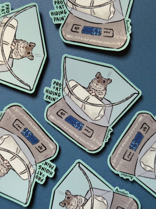 Pro At Hiding Pain - Autocollant