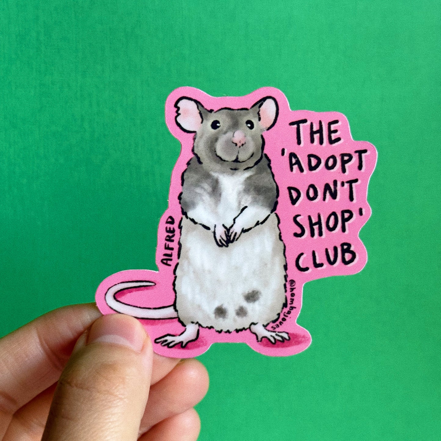 Adopt Don't Shop Club - Autocollant
