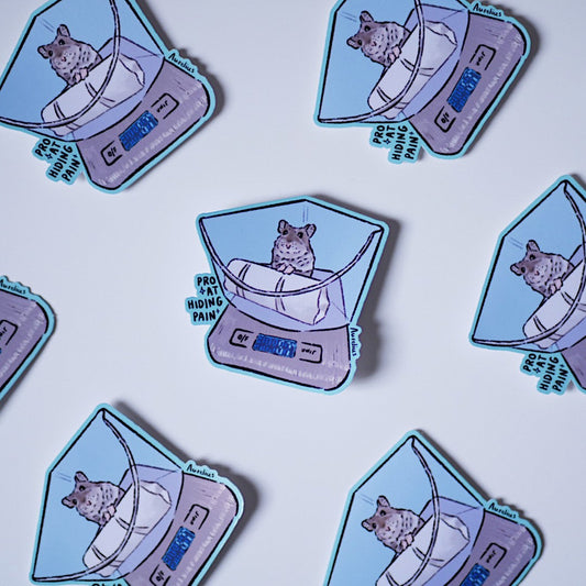 Pro At Hiding Pain - Sticker