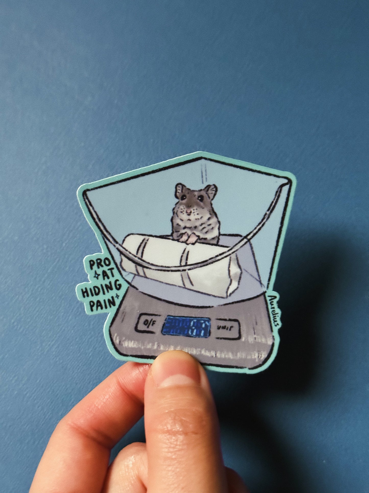 Pro At Hiding Pain - Autocollant