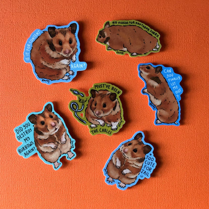 Sway - Ensemble de 6 autocollants